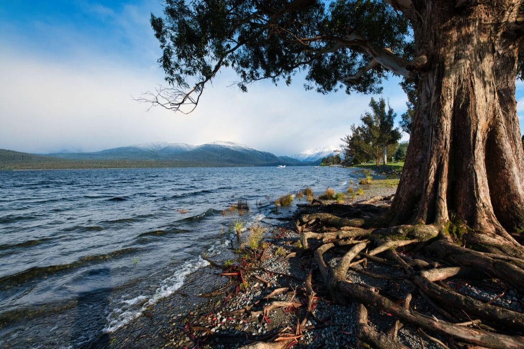 Te Anau